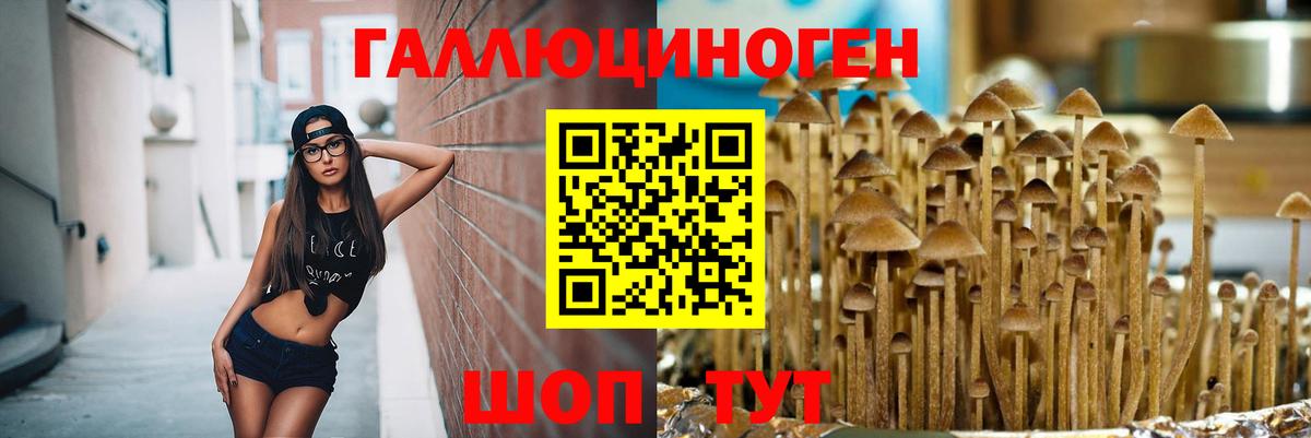 Галлюциногенные грибы прущие грибы  Вход с VPN  Чапаевск 