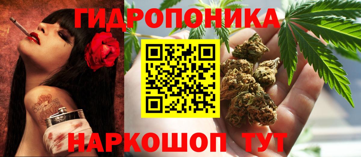 Бошки Шишки Amnesia  Вход с VPN  Чапаевск  МАРИХУАНА планчик  Конопля тримм  Каннабис Bruce Banner 